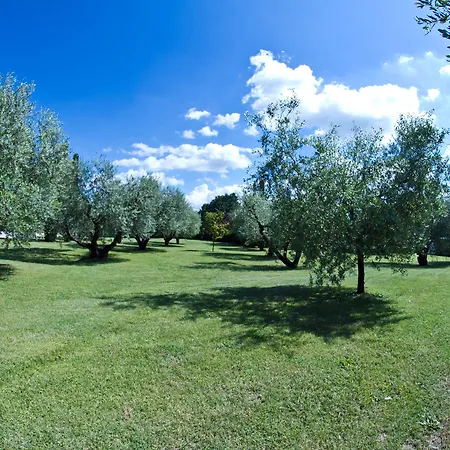 Hotel Aldero